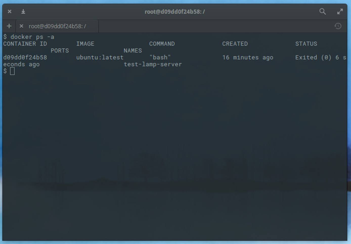 docker ps -a shows a list of available images docker ps -a shows a list of available images